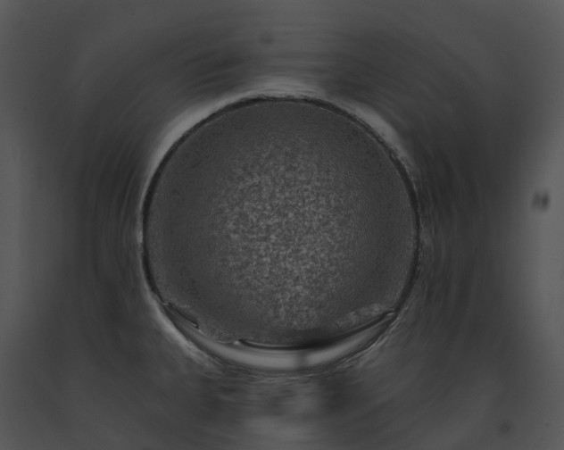 X0000091691335200708301532