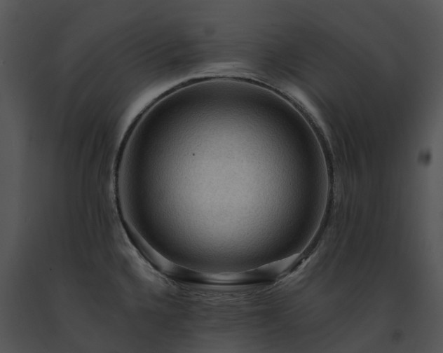 X0000091691336200708301532