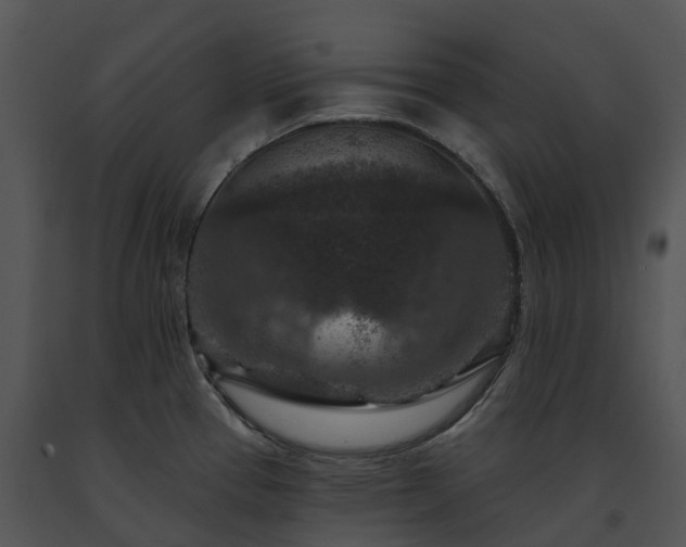 X0000091691337200708301532