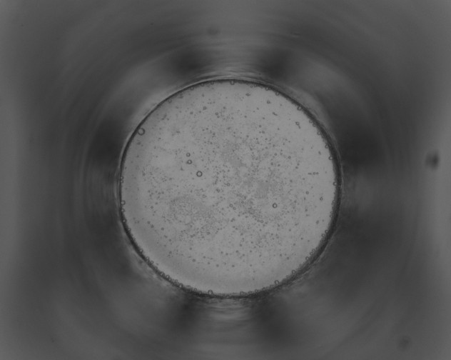 X0000091691338200708301532