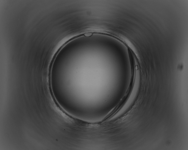 X0000091691339200708301532