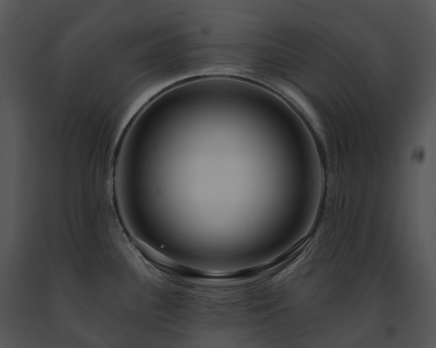 X0000091691340200708301532