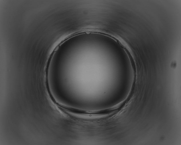 X0000091691341200708301533
