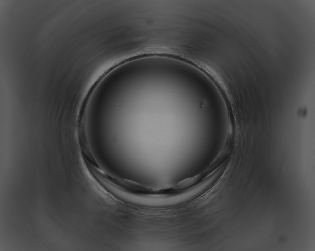 X0000091691342200708301533