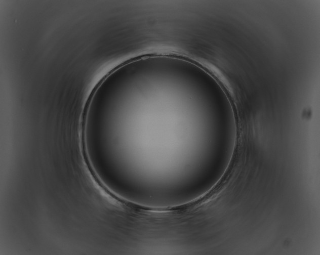 X0000091691343200708301533