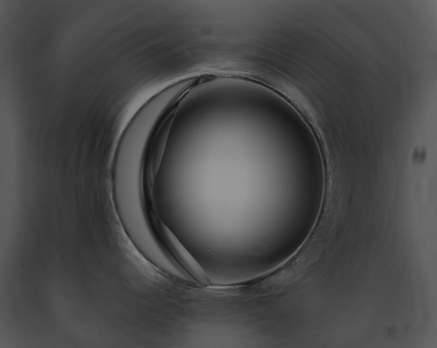 X0000091691344200708301533