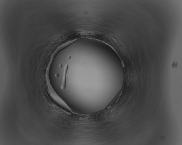 X0000091691345200708301532