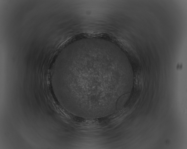 X0000091691346200708301532