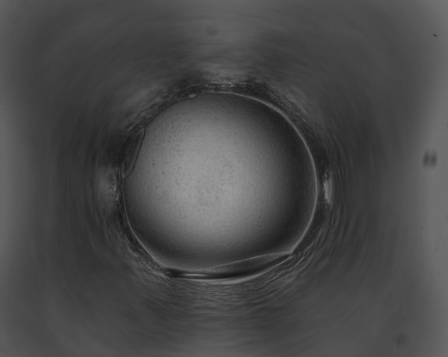 X0000091691347200708301532