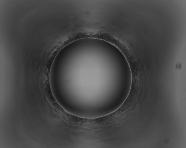 X0000091691349200708301532