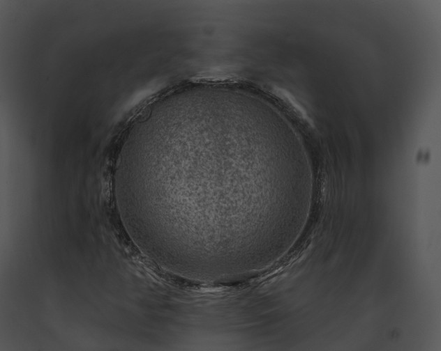 X0000091691350200708301532