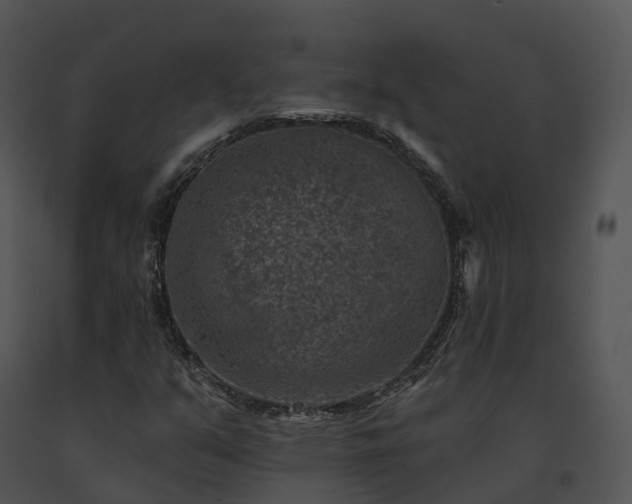 X0000091691351200708301532