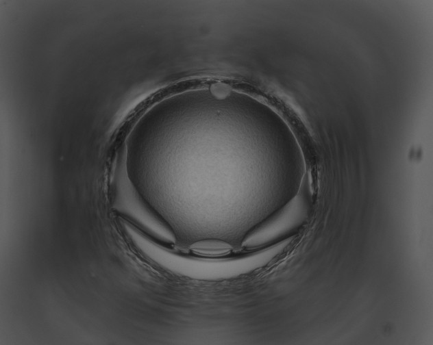 X0000091691352200708301532