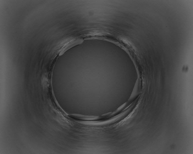 X0000091691353200708301532