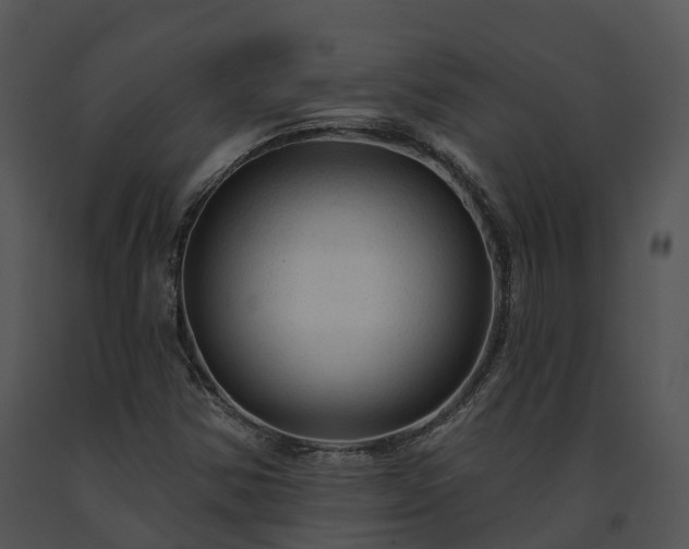 X0000091691354200708301532