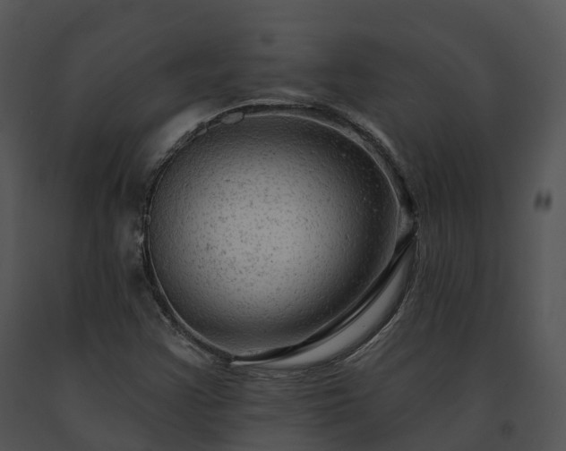 X0000091691355200708301532
