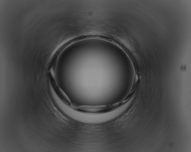 X0000091691356200708301532