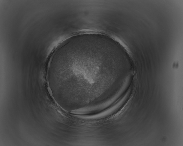 X0000091691357200708301532