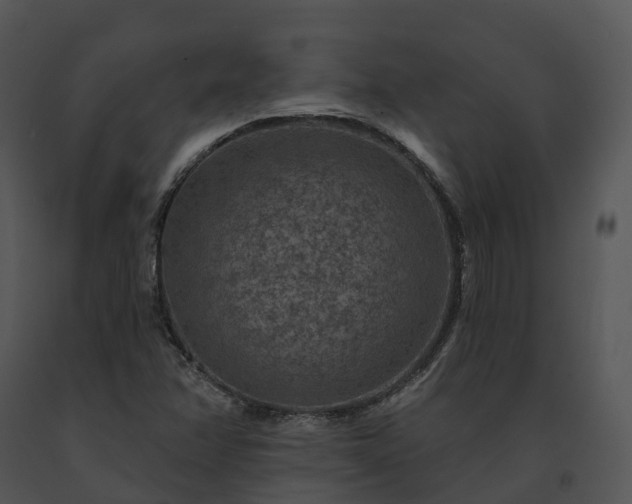 X0000091691358200708301532