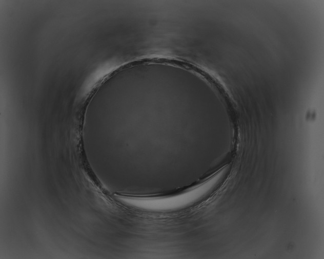 X0000091691359200708301532