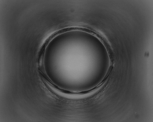 X0000091691360200708301532