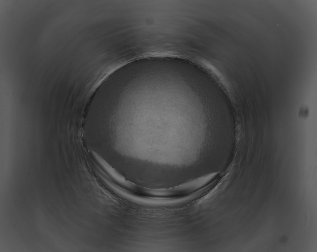 X0000091691361200708301532
