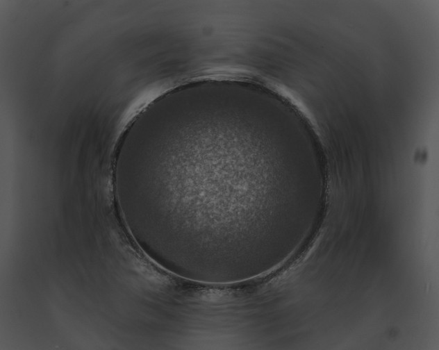 X0000091691362200708301532