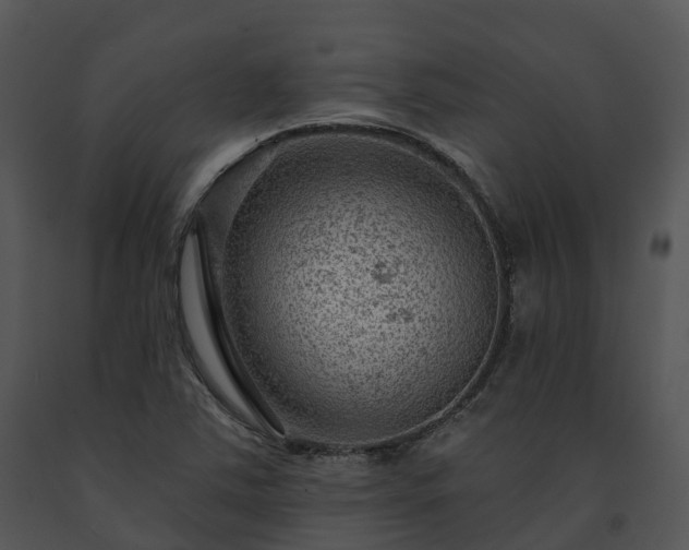 X0000091691363200708301532