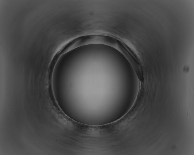 X0000091691364200708301532