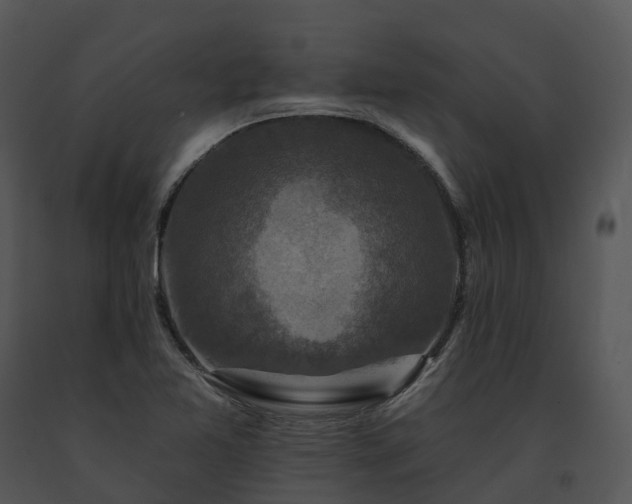 X0000091691365200708301532