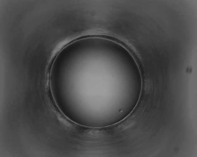 X0000091691366200708301532