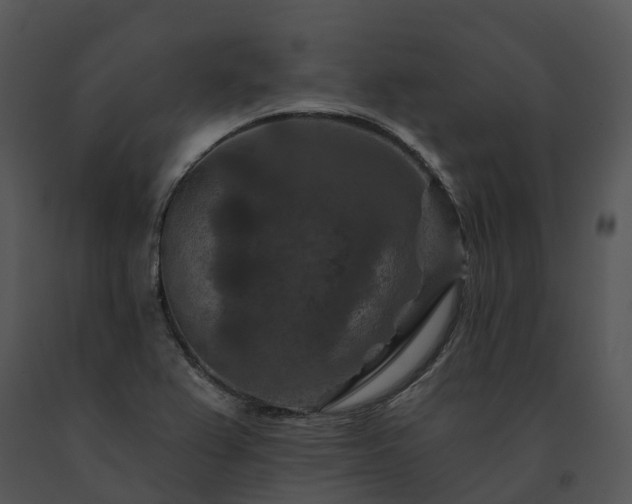 X0000091691367200708301531