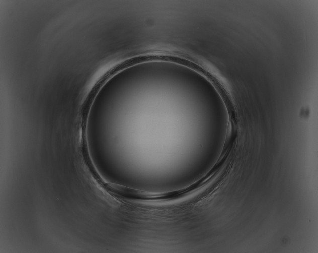 X0000091691368200708301531