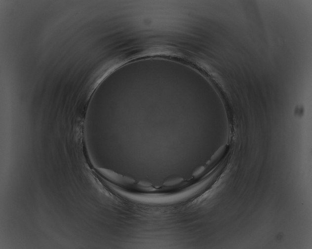 X0000091691369200708301531