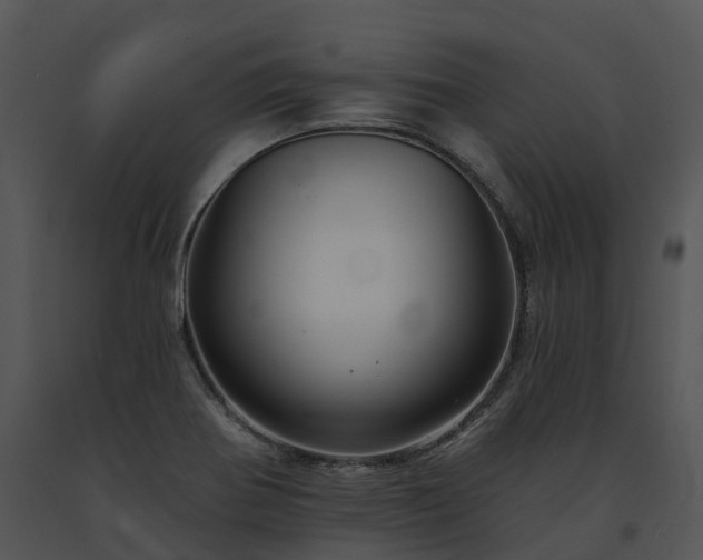 X0000091691370200708301531