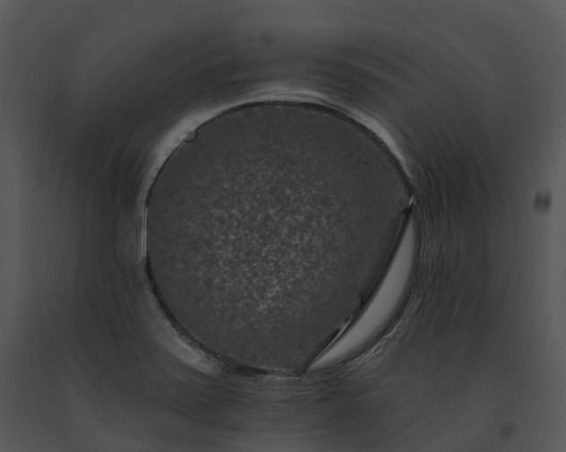X0000091691371200708301531
