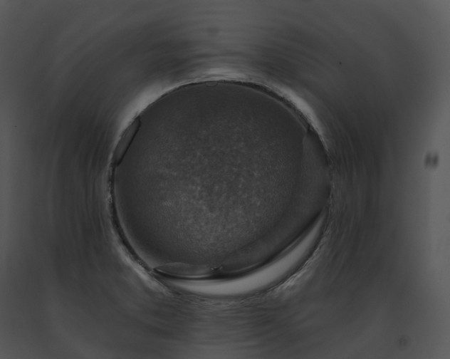 X0000091691373200708301531
