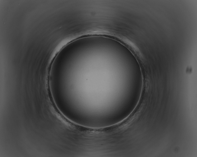 X0000091691374200708301531
