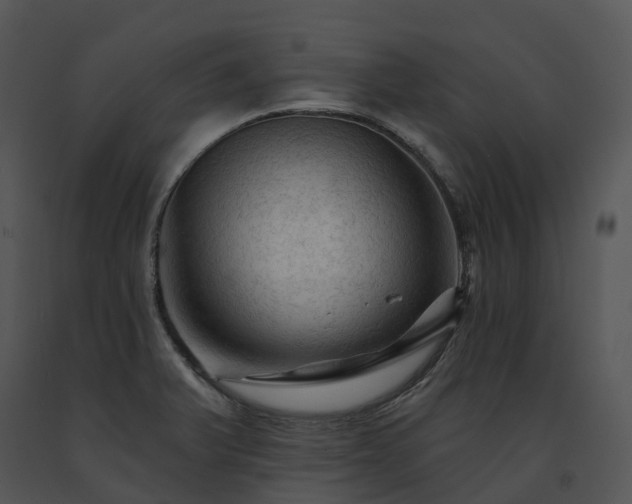 X0000091691375200708301531