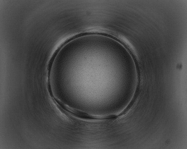 X0000091691376200708301531