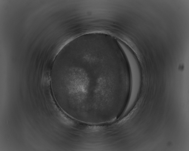 X0000091691377200708301531
