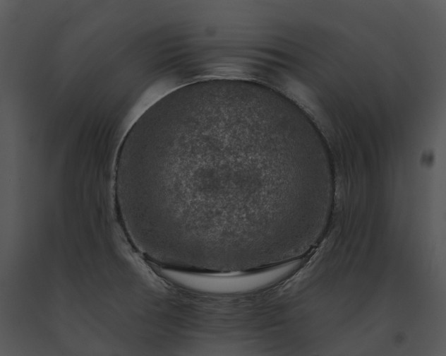 X0000091691378200708301531