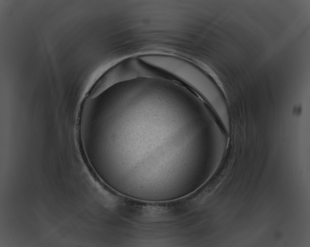X0000091691379200708301531