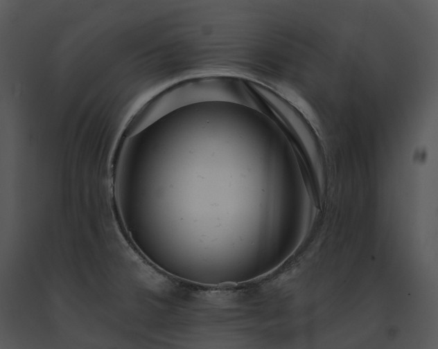 X0000091691380200708301531