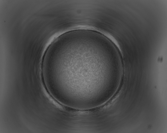 X0000091691381200708301531