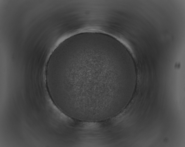 X0000091691382200708301531