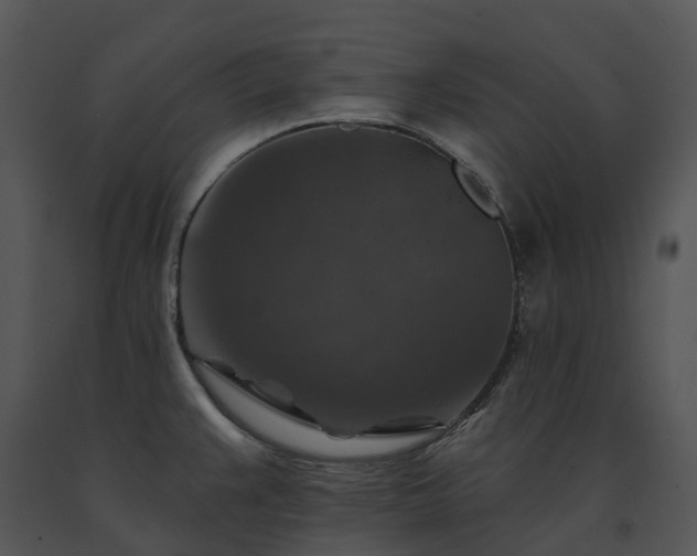 X0000091691383200708301531