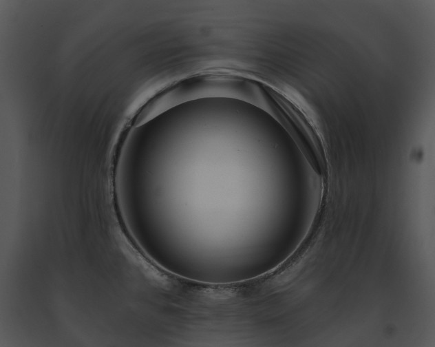 X0000091691384200708301531