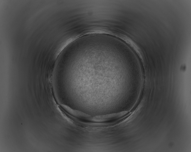 X0000091691385200708301531