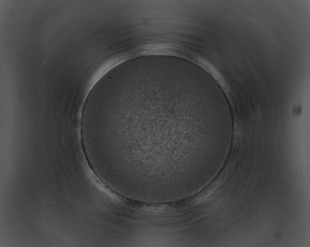 X0000091691386200708301531